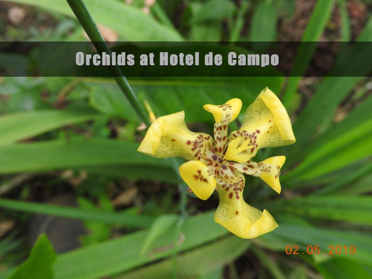 Hotel De Campo Cano Negro Kültér fotó